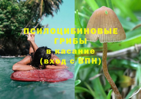 спиды Алексин