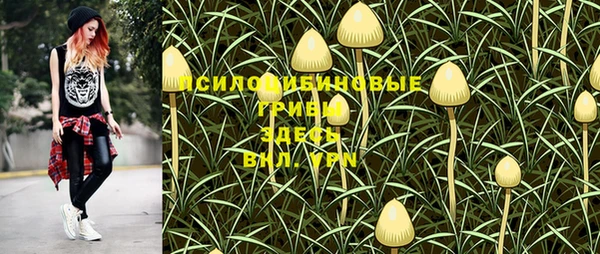 спиды Алексин