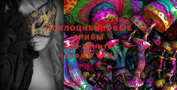 спиды Алексин